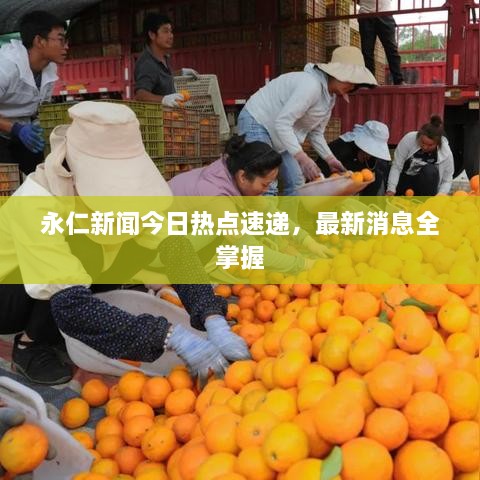 永仁新聞今日熱點(diǎn)速遞，最新消息全掌握