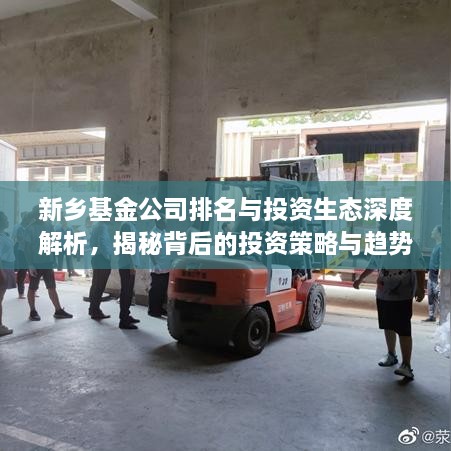新鄉(xiāng)基金公司排名與投資生態(tài)深度解析，揭秘背后的投資策略與趨勢