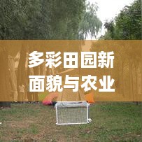 多彩田園新面貌與農(nóng)業(yè)新活力，揭秘鄉(xiāng)村振興新聞頭條