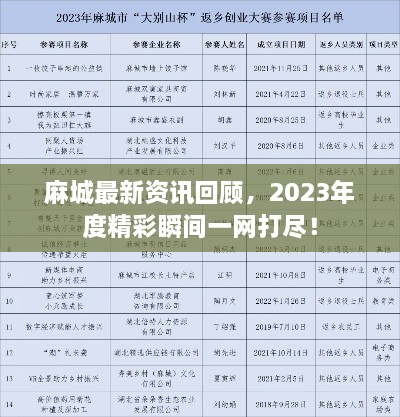 麻城最新資訊回顧，2023年度精彩瞬間一網(wǎng)打盡！