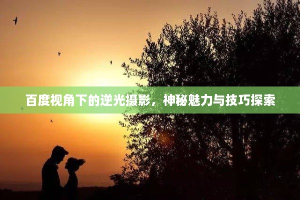 百度視角下的逆光攝影，神秘魅力與技巧探索