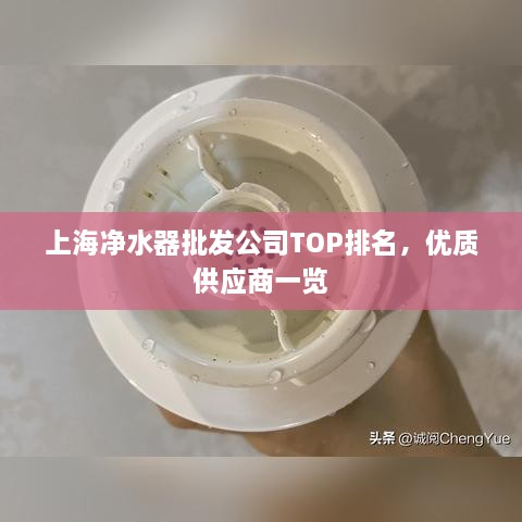 上海凈水器批發(fā)公司TOP排名，優(yōu)質(zhì)供應(yīng)商一覽