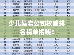 少兒攀巖公司權(quán)威排名榜單揭曉！
