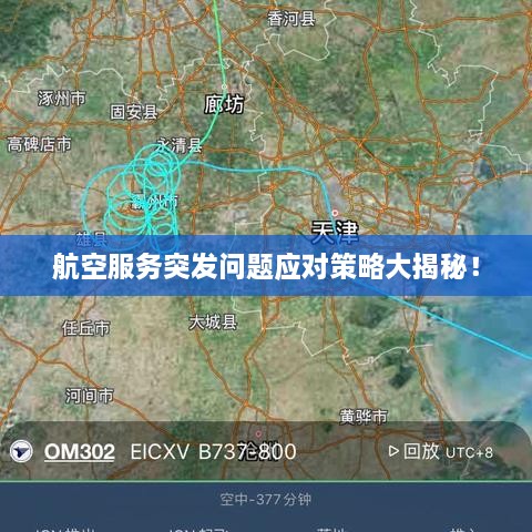 航空服務(wù)突發(fā)問題應(yīng)對策略大揭秘！