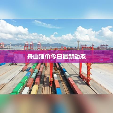 舟山油價今日最新動態(tài)