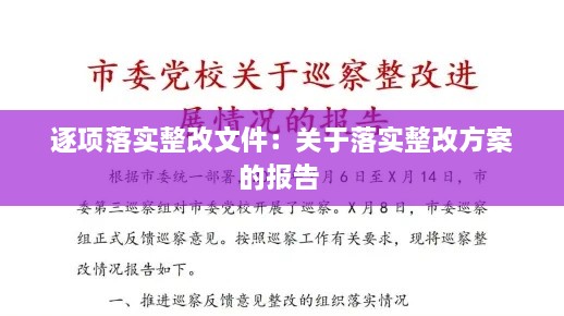 逐項(xiàng)落實(shí)整改文件：關(guān)于落實(shí)整改方案的報(bào)告 