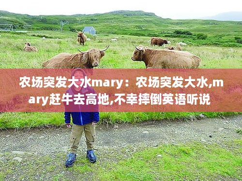農(nóng)場(chǎng)突發(fā)大水mary：農(nóng)場(chǎng)突發(fā)大水,mary趕牛去高地,不幸摔倒英語(yǔ)聽(tīng)說(shuō) 