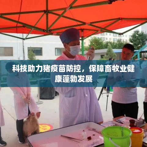 科技助力豬疫苗防控，保障畜牧業(yè)健康蓬勃發(fā)展