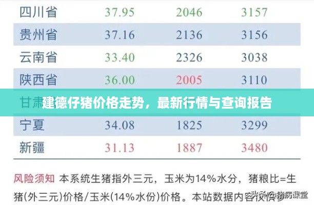 建德仔豬價格走勢，最新行情與查詢報告