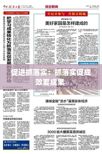 促進(jìn)抓落實(shí)：抓落實(shí)促成效要成果 