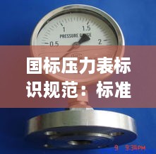 國(guó)標(biāo)壓力表標(biāo)識(shí)規(guī)范：標(biāo)準(zhǔn)壓力表型號(hào)大全 