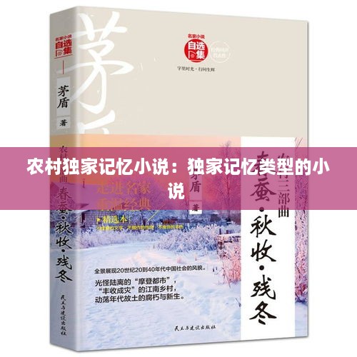 農(nóng)村獨家記憶小說：獨家記憶類型的小說 