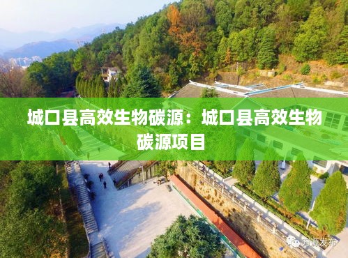 城口縣高效生物碳源：城口縣高效生物碳源項(xiàng)目 