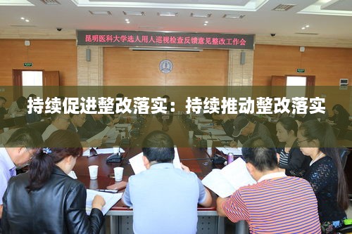 持續(xù)促進(jìn)整改落實：持續(xù)推動整改落實 