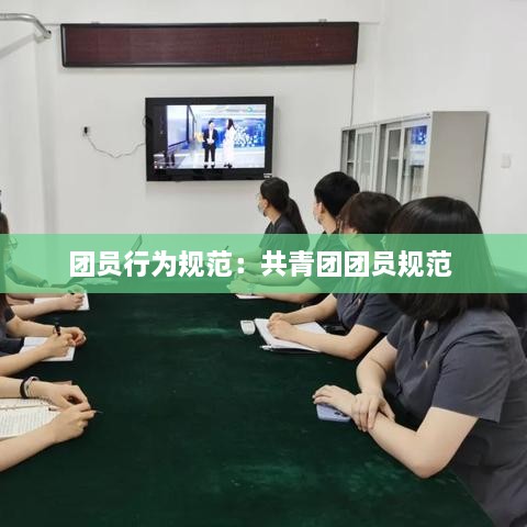 團(tuán)員行為規(guī)范：共青團(tuán)團(tuán)員規(guī)范 