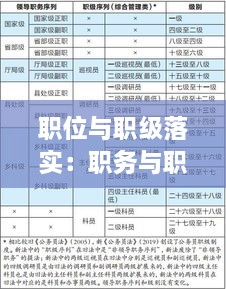 職位與職級(jí)落實(shí)：職務(wù)與職級(jí)并行存在問(wèn)題及意見建議 