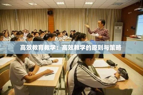 高效教育教學(xué)：高效教學(xué)的原則與策略 