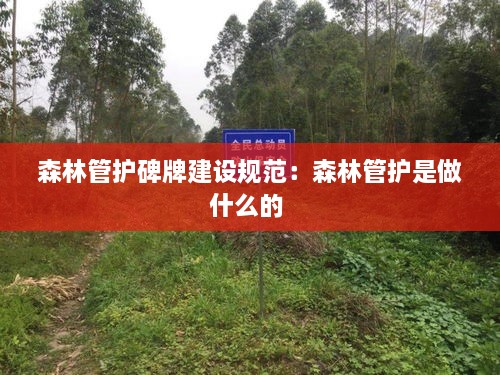 瑞雪紛飛