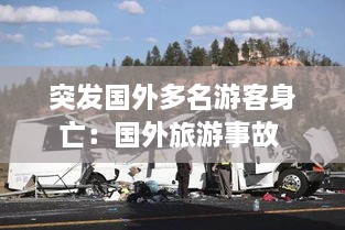 突發(fā)國外多名游客身亡：國外旅游事故 