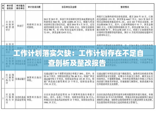工作計劃落實欠缺：工作計劃存在不足自查剖析及整改報告 