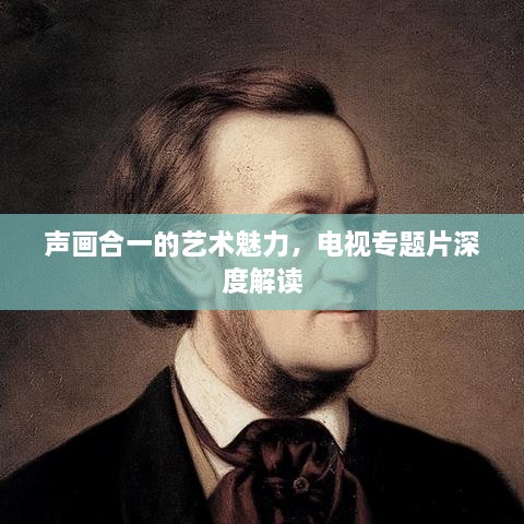 聲畫合一的藝術(shù)魅力，電視專題片深度解讀