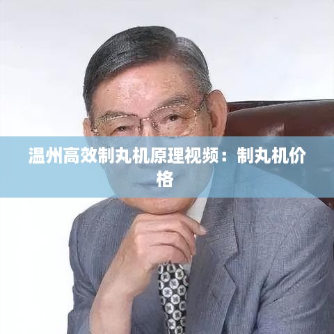 溫州高效制丸機原理視頻：制丸機價格 