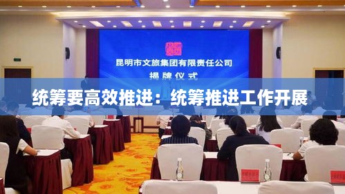 統(tǒng)籌要高效推進(jìn)：統(tǒng)籌推進(jìn)工作開展 