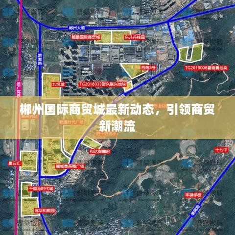 郴州國(guó)際商貿(mào)城最新動(dòng)態(tài)，引領(lǐng)商貿(mào)新潮流
