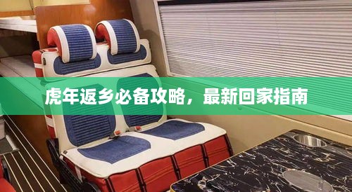 虎年返鄉(xiāng)必備攻略，最新回家指南