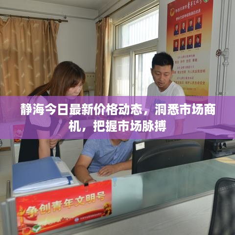 靜海今日最新價格動態(tài)，洞悉市場商機，把握市場脈搏