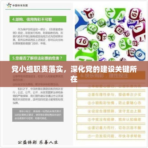 黨小組職責(zé)落實，深化黨的建設(shè)關(guān)鍵所在