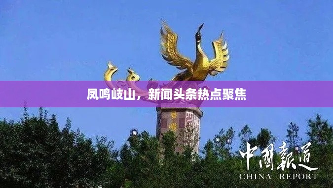 鳳鳴岐山，新聞頭條熱點聚焦
