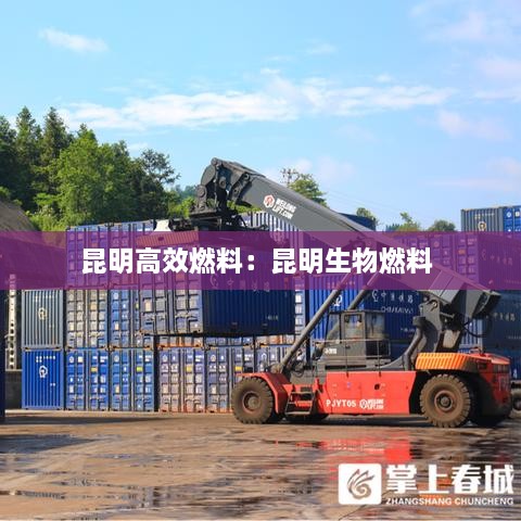 昆明高效燃料：昆明生物燃料 