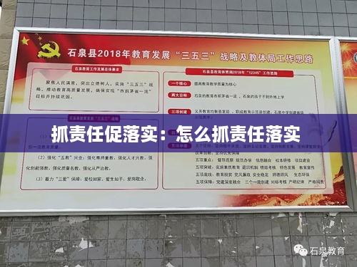 抓責任促落實：怎么抓責任落實 