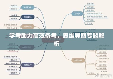 學(xué)考助力高效備考，思維導(dǎo)圖專題解析