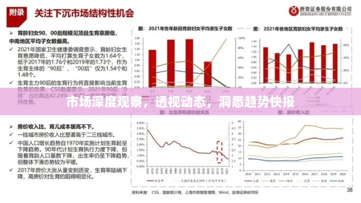 市場深度觀察，透視動態(tài)，洞悉趨勢快報(bào)