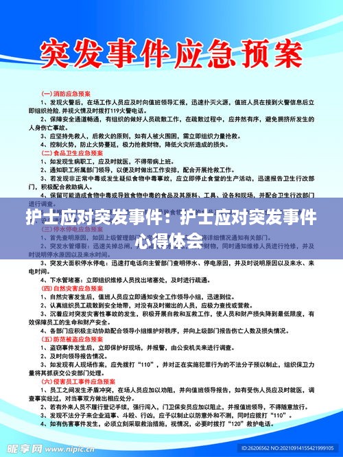 護士應(yīng)對突發(fā)事件：護士應(yīng)對突發(fā)事件心得體會 