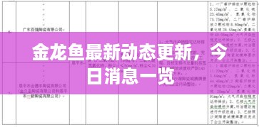 金龍魚最新動(dòng)態(tài)更新，今日消息一覽