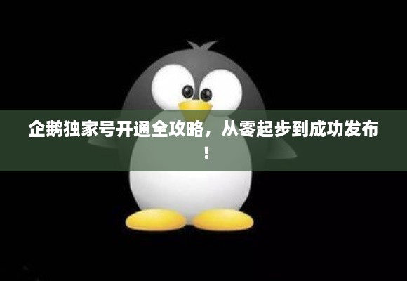 企鵝獨家號開通全攻略，從零起步到成功發(fā)布！