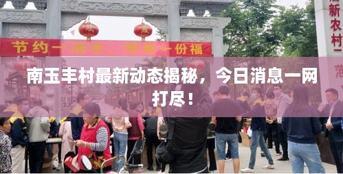 南玉豐村最新動態(tài)揭秘，今日消息一網(wǎng)打盡！