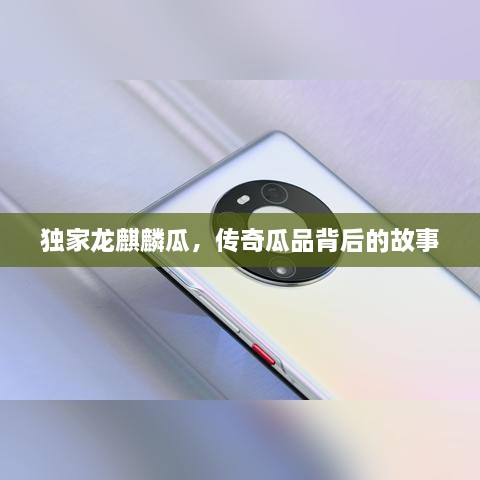 獨家龍麒麟瓜，傳奇瓜品背后的故事