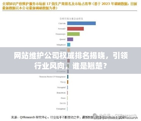 網(wǎng)站維護(hù)公司權(quán)威排名揭曉，引領(lǐng)行業(yè)風(fēng)向，誰(shuí)是翹楚？