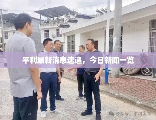 平利最新消息速遞，今日新聞一覽