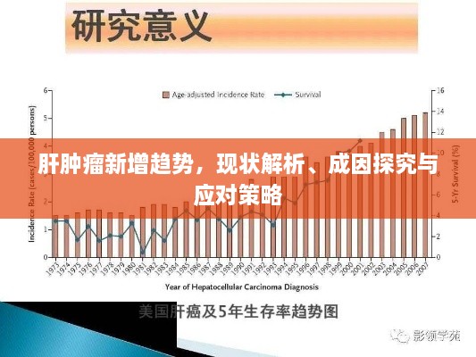 肝腫瘤新增趨勢，現(xiàn)狀解析、成因探究與應對策略