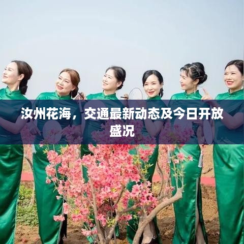 汝州花海，交通最新動態(tài)及今日開放盛況