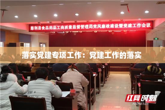 落實(shí)黨建專(zhuān)項(xiàng)工作：黨建工作的落實(shí) 