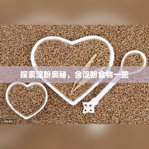 探索淀粉奧秘，含淀粉食物一覽