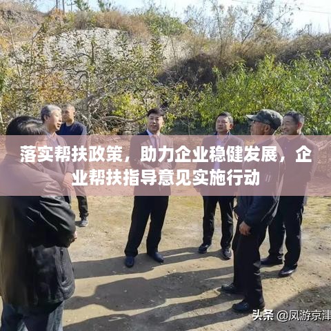 落實(shí)幫扶政策，助力企業(yè)穩(wěn)健發(fā)展，企業(yè)幫扶指導(dǎo)意見實(shí)施行動(dòng)