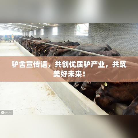 驢舍宣傳語，共創(chuàng)優(yōu)質(zhì)驢產(chǎn)業(yè)，共筑美好未來！