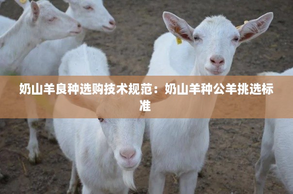 奶山羊良種選購技術(shù)規(guī)范：奶山羊種公羊挑選標(biāo)準(zhǔn) 